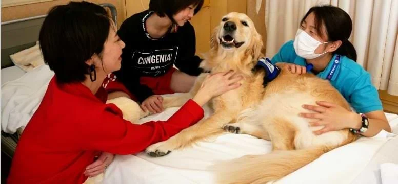 ペットセラピー